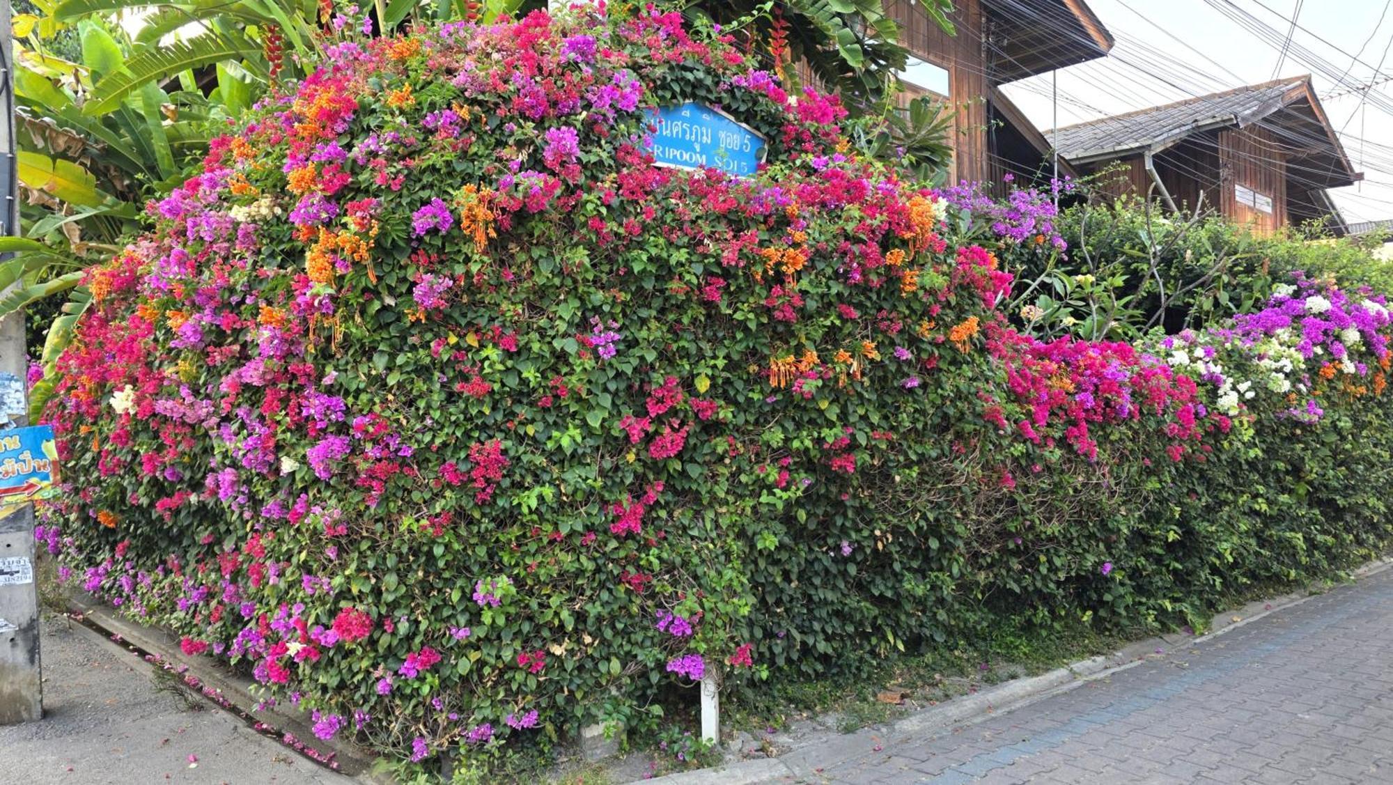 Siriwan Hostel Chiang Mai Exterior photo